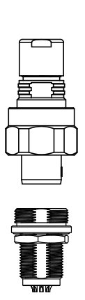 W.png